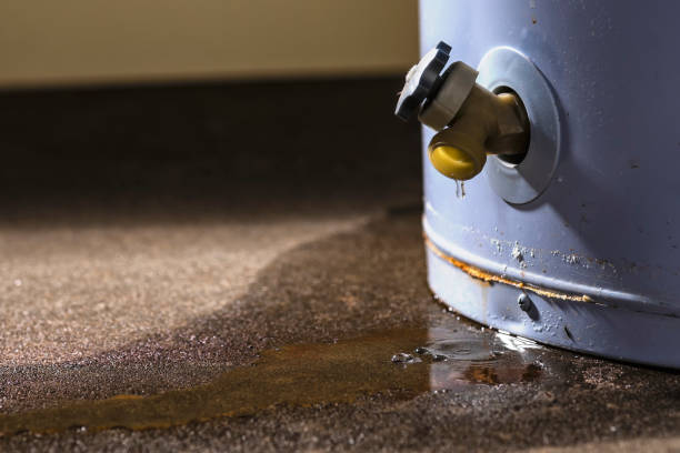 Best Ceiling water damage repair  in Conway, AR