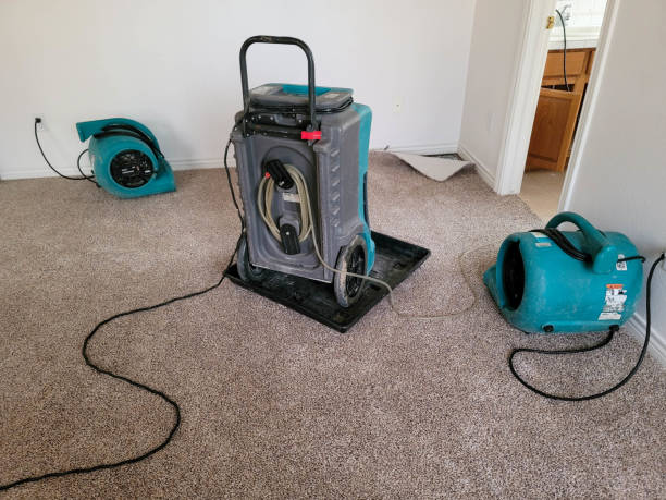 Best Carpet water damage restoration  in Conway, AR
