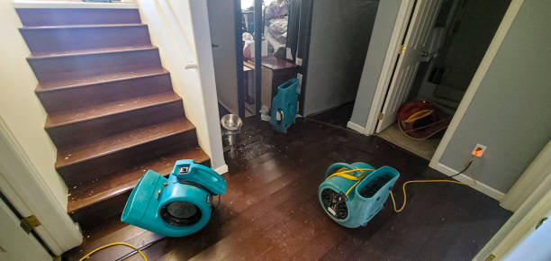 Best Water damage cleanup near me  in Conway, AR