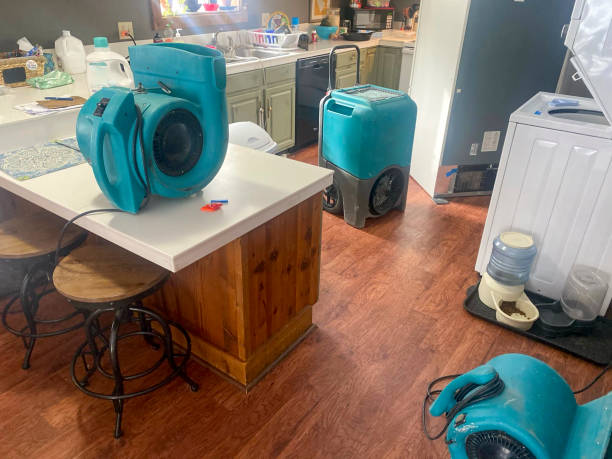 Best Water damage restoration company  in Conway, AR