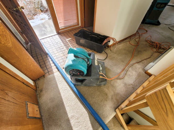 Best Water damage contractors near me  in Conway, AR