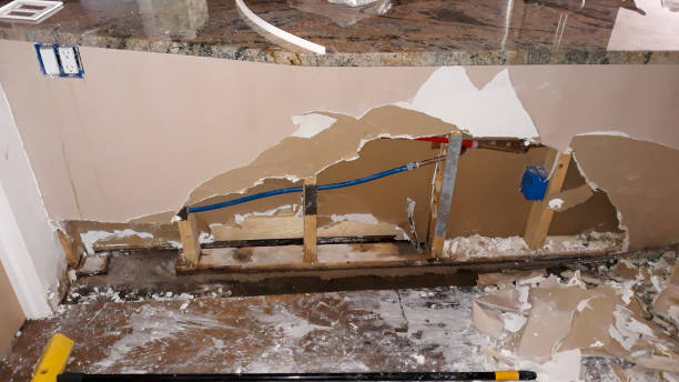 Best Mold removal after water damage  in Conway, AR
