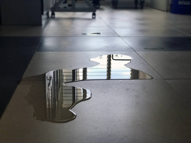 Best 24/7 water damage repair  in Conway, AR