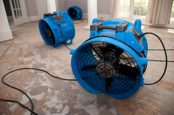 Best Flood restoration services  in Conway, AR