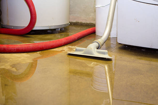 Best Fire Damage Restoration  in Conway, AR