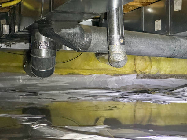 Best Basement water damage restoration  in Conway, AR