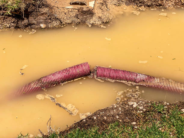 Best Sewage cleanup and water damage restoration  in Conway, AR