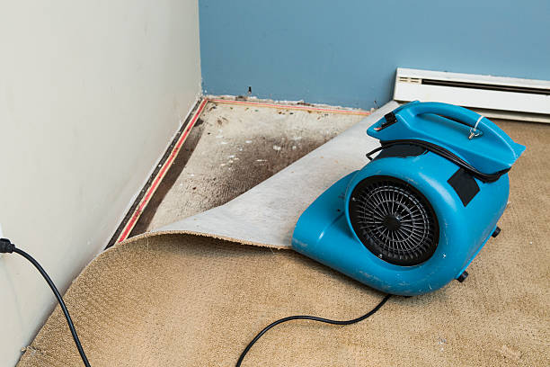 Professional Water damage restoration in AR